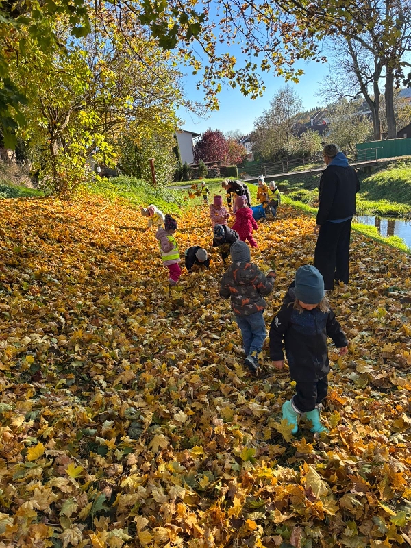 Poslední říjnové dny - Kočičky