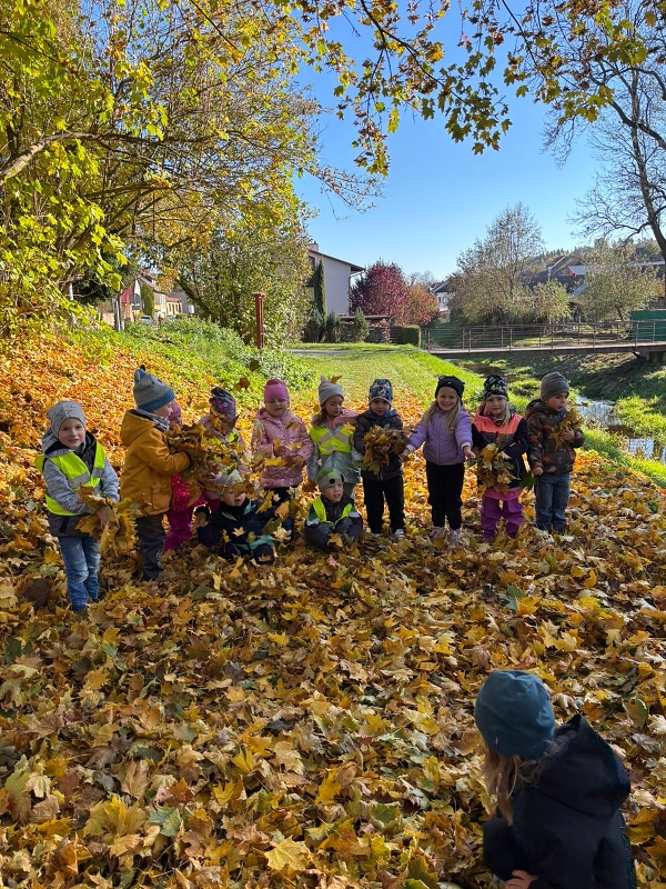 Poslední říjnové dny - Kočičky