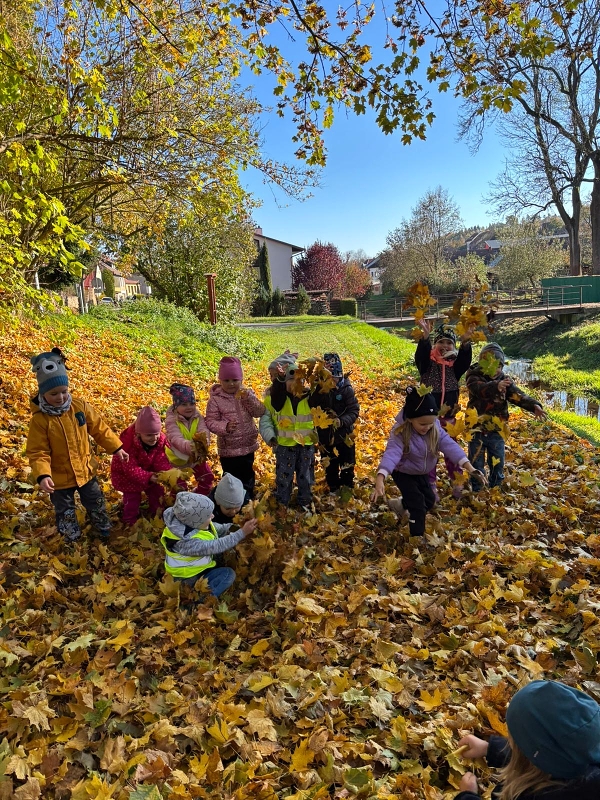 Poslední říjnové dny - Kočičky