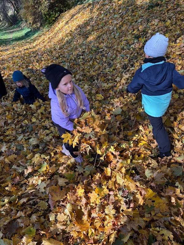 Poslední říjnové dny - Kočičky