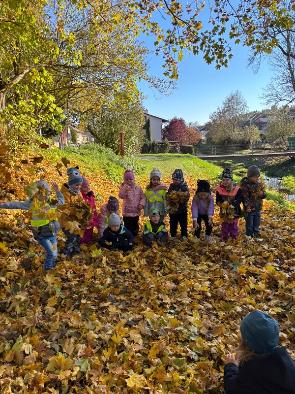 Poslední říjnové dny - Kočičky