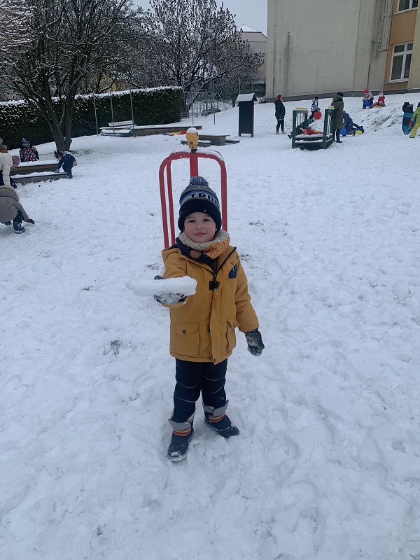 Hrátky na sněhu - Kočičky