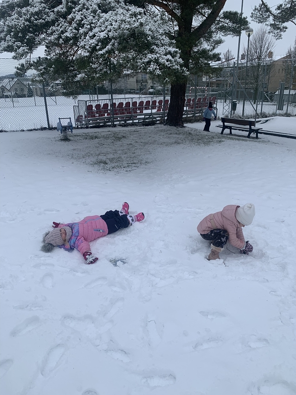 Hrátky na sněhu - Kočičky