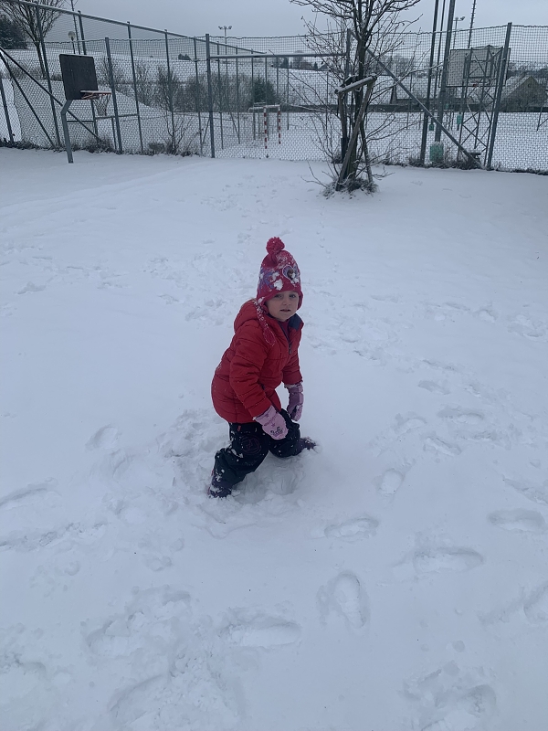 Hrátky na sněhu - Kočičky