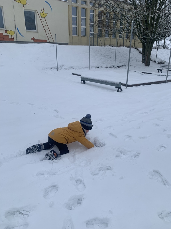 Hrátky na sněhu - Kočičky