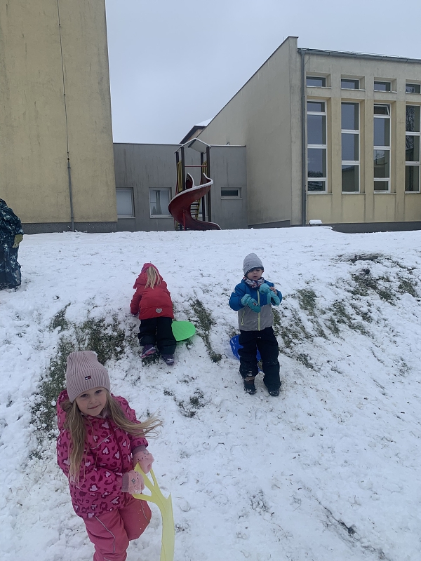 Hrátky na sněhu - Kočičky