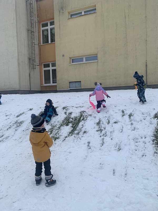 Hrátky na sněhu - Kočičky