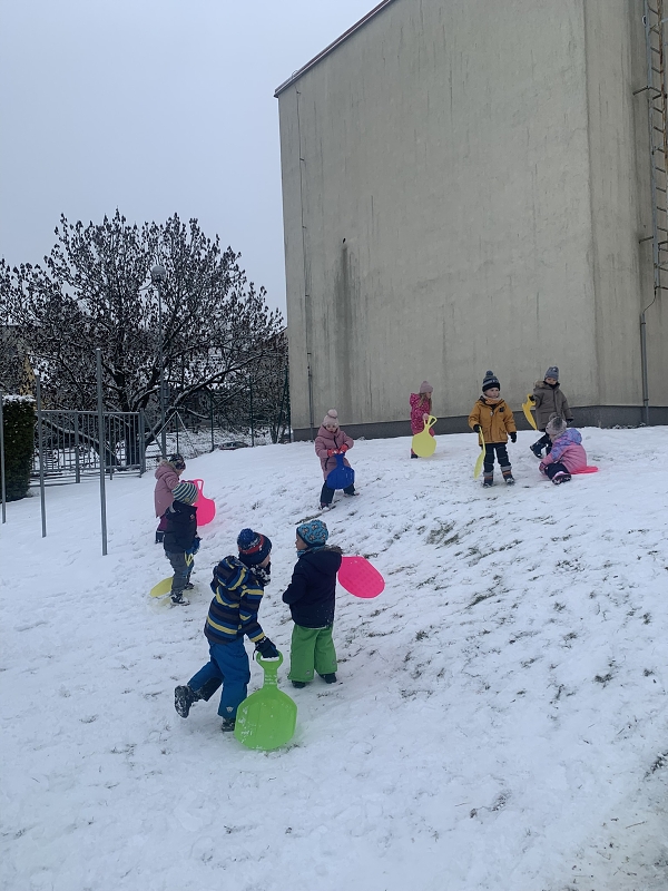 Hrátky na sněhu - Kočičky