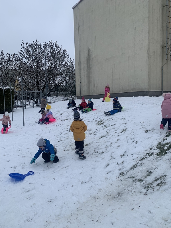 Hrátky na sněhu - Kočičky