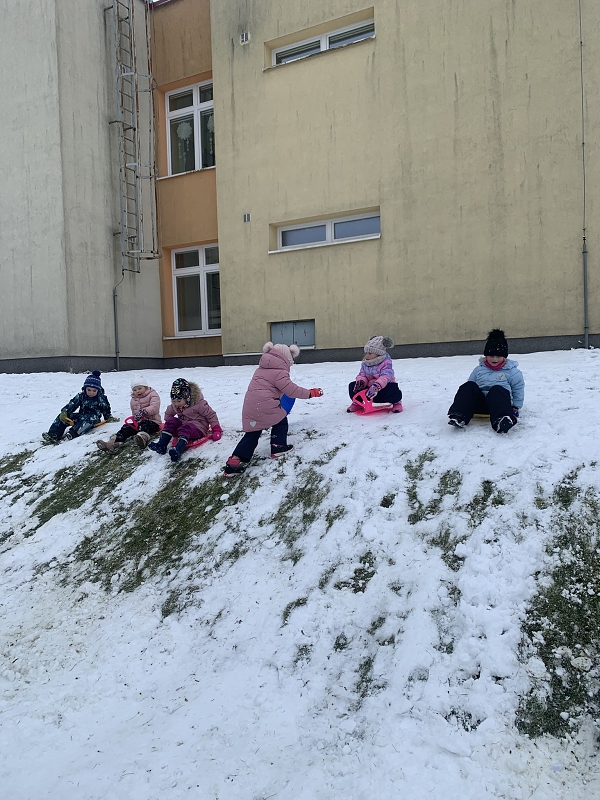 Hrátky na sněhu - Kočičky