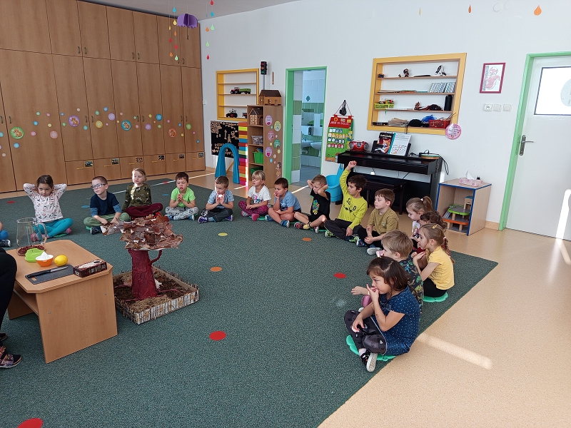 Jak jsme vařili Šíkový čaj ve třídě Veverek