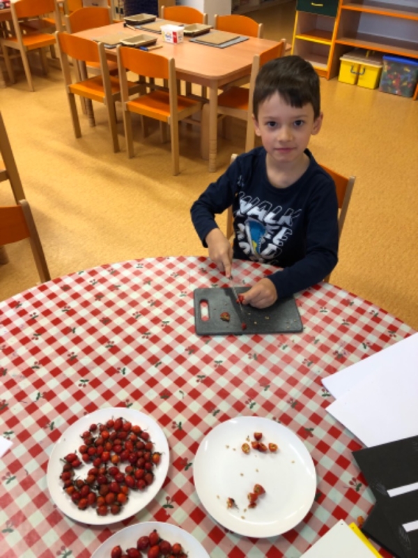 Listopad v Opičkách