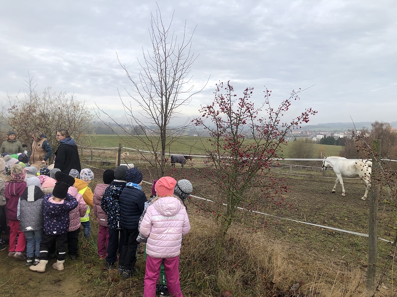 Sv. Martin v Opičkách