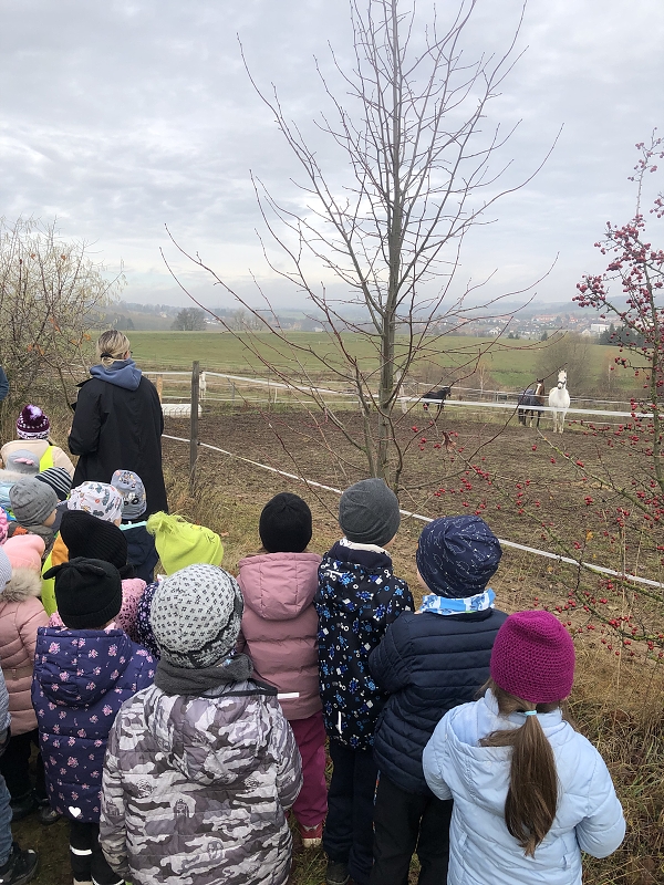 Sv. Martin v Opičkách