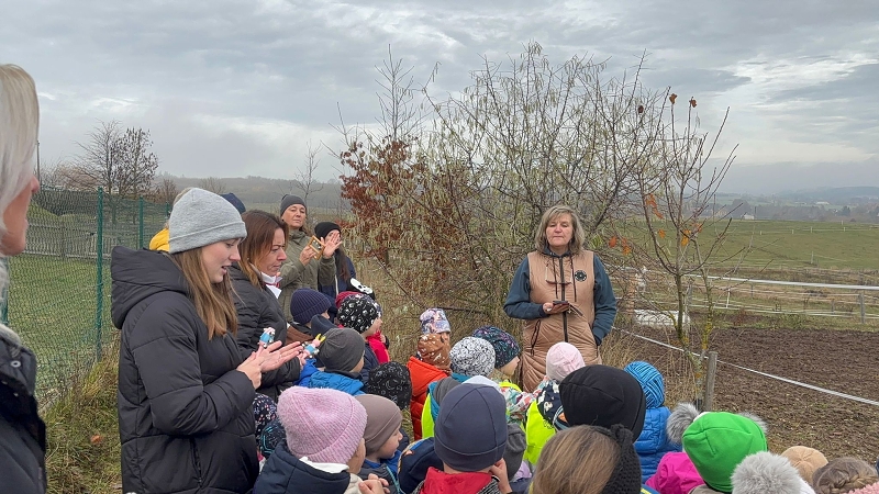 Svatý Martin a Kočičky