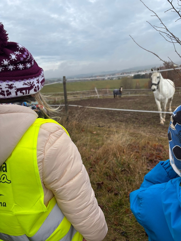 Svatý Martin a Kočičky