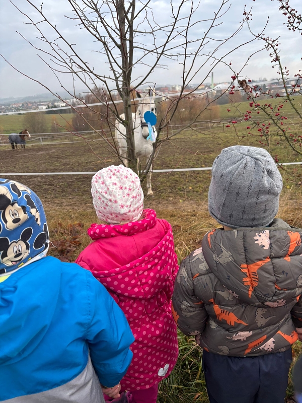 Svatý Martin a Kočičky