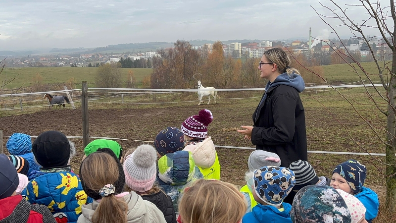 Svatý Martin a Kočičky
