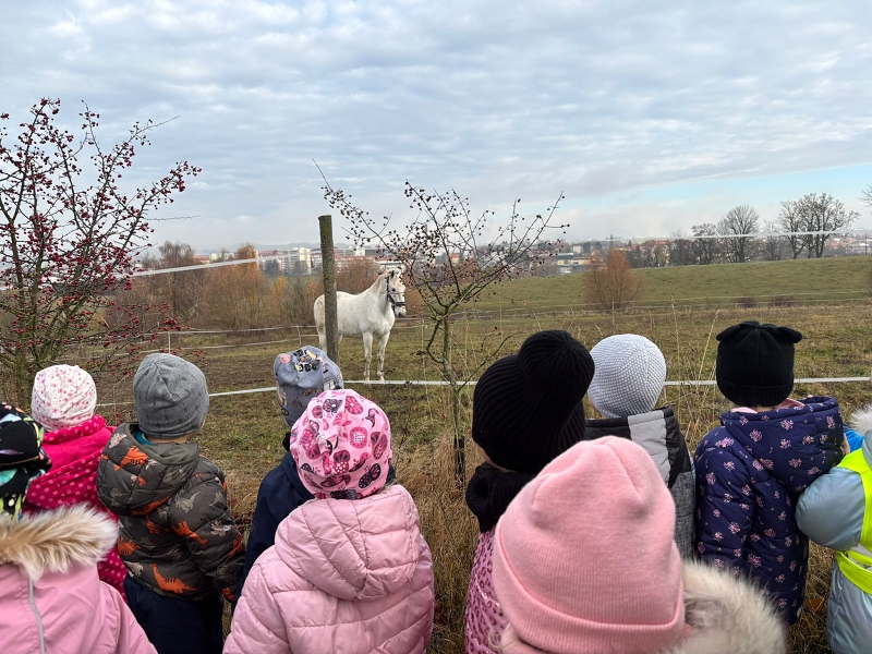 Svatý Martin a Kočičky