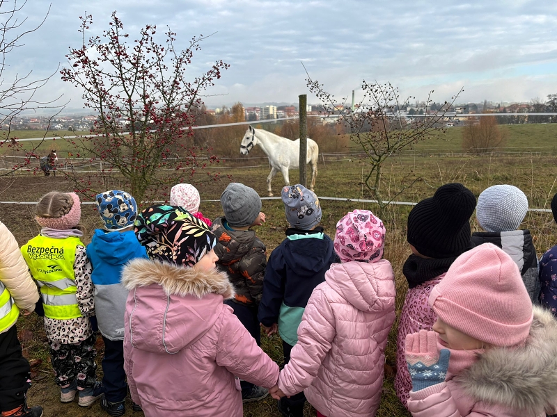 Svatý Martin a Kočičky