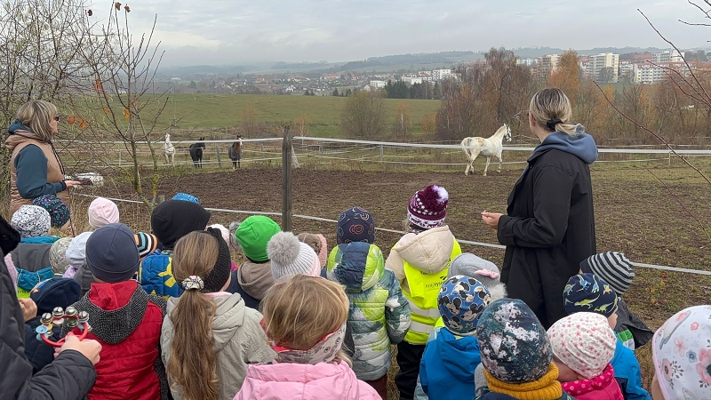 Svatý Martin a Kočičky