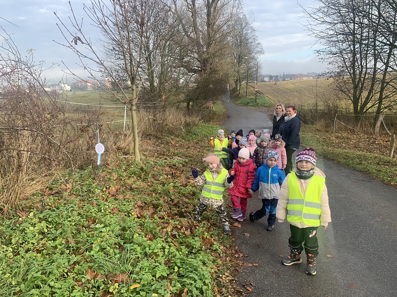 Svatý Martin a Kočičky