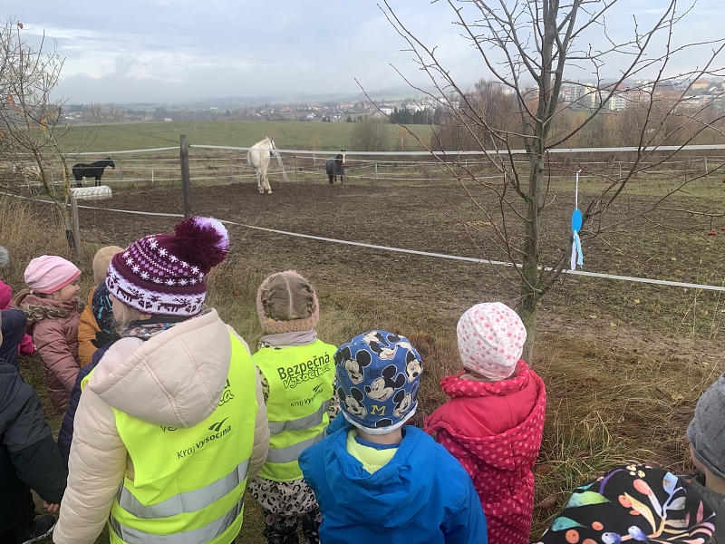 Svatý Martin a Kočičky