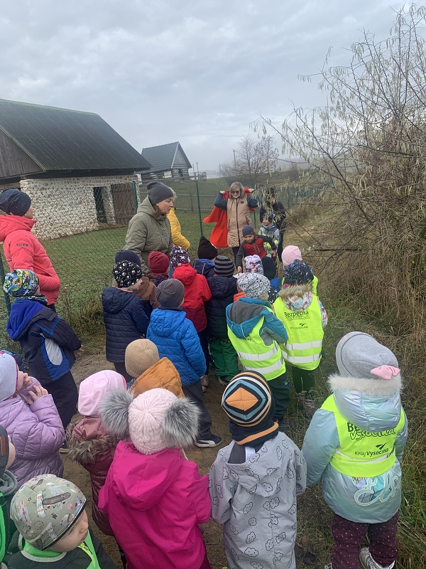 Svatý Martin a Kočičky