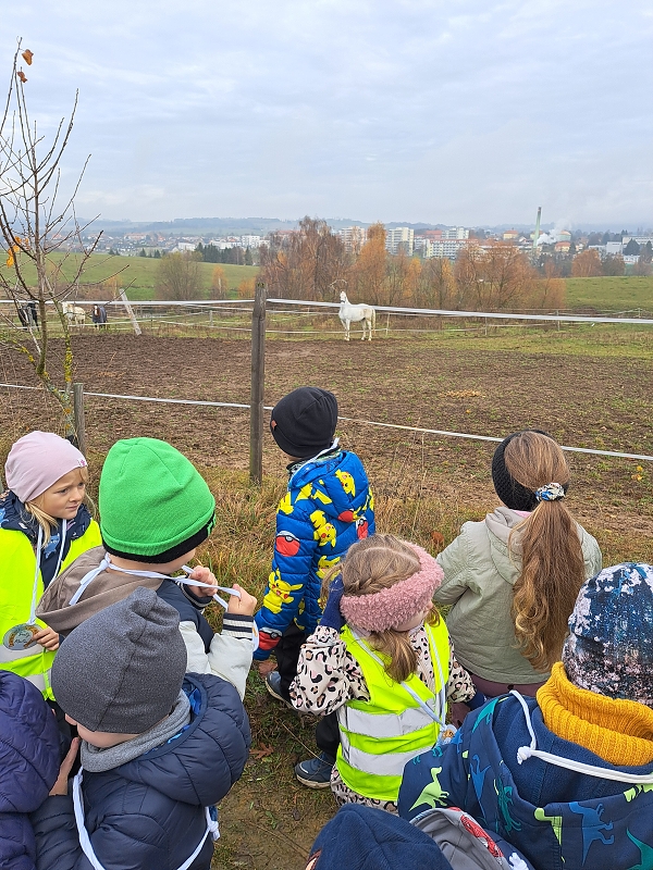 Svatý Martin ve třídě Veverek