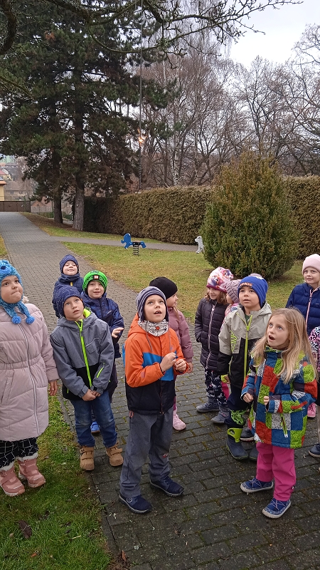 Vánoční zvyky - jmelí, prskavky v Opičkách