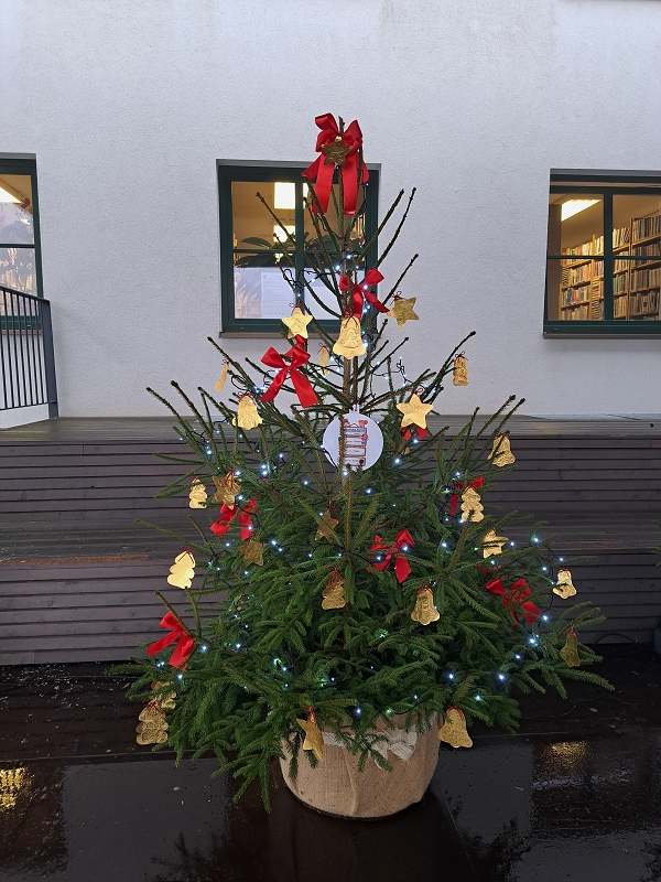 Zdobení vánočního stromečku v amfiteátru 