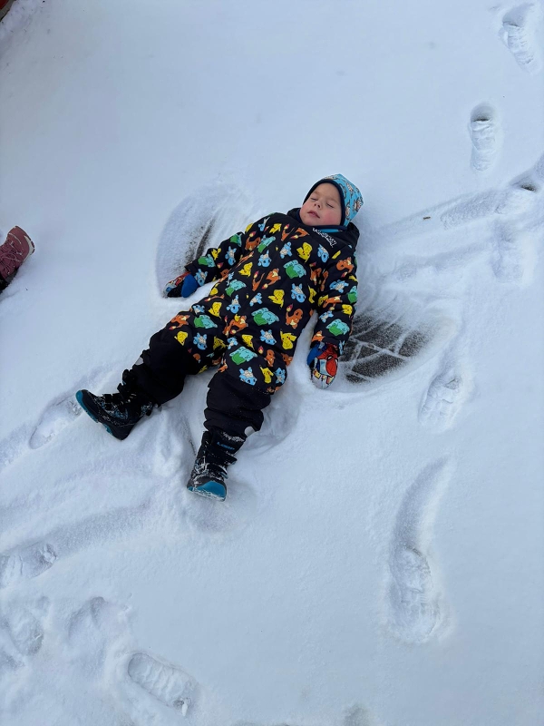 Kočičky dělají andělíčky ve sněhu