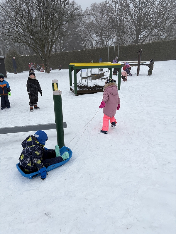 Kočičky na zimní školkiádě