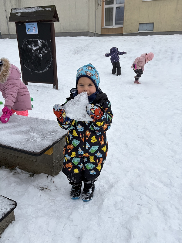 Kočičky na zimní školkiádě