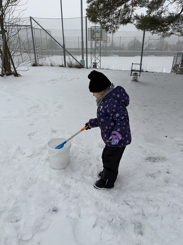 Kočičky na zimní školkiádě