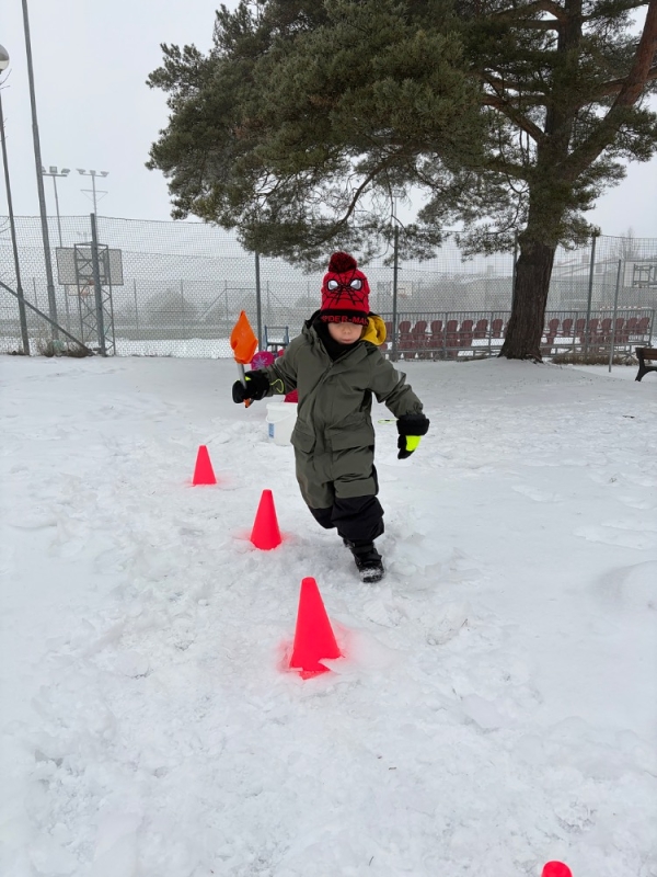 Kočičky na zimní školkiádě