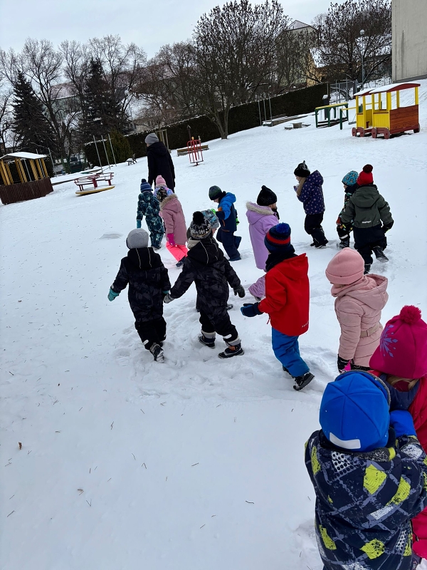 Kočičky si užívají zimní nadílky