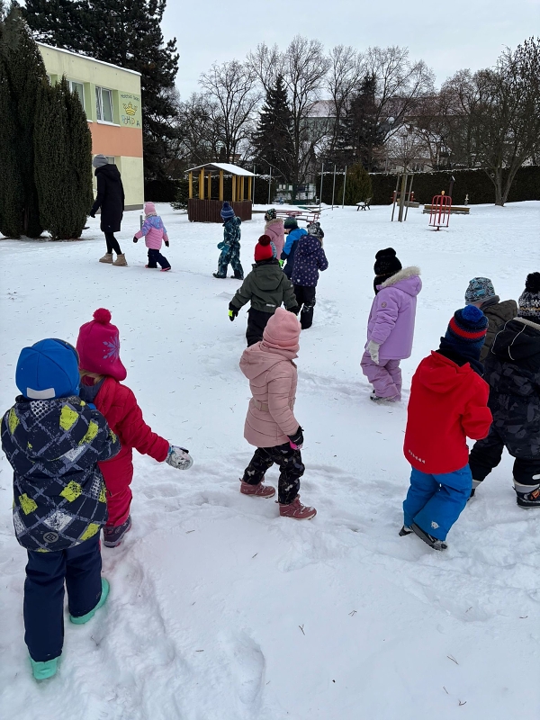 Kočičky si užívají zimní nadílky