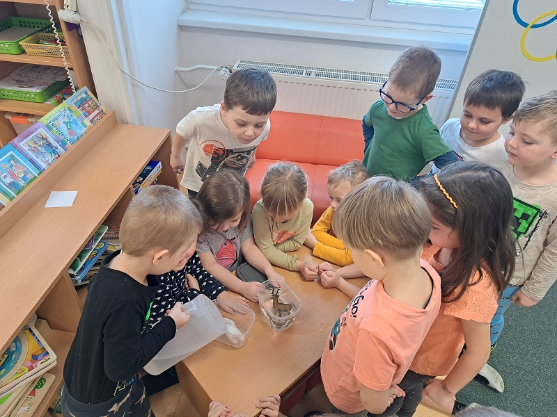 Zimní hrátky ve třídě Veverek