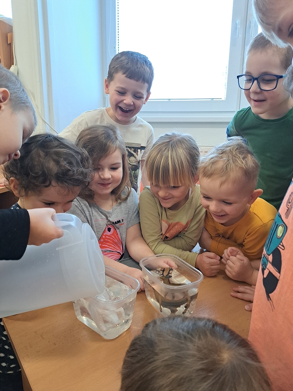 Zimní hrátky ve třídě Veverek