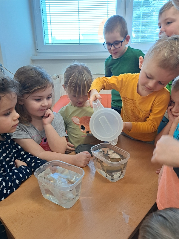 Zimní hrátky ve třídě Veverek