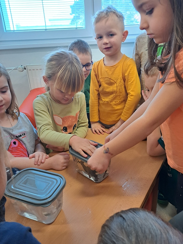 Zimní hrátky ve třídě Veverek