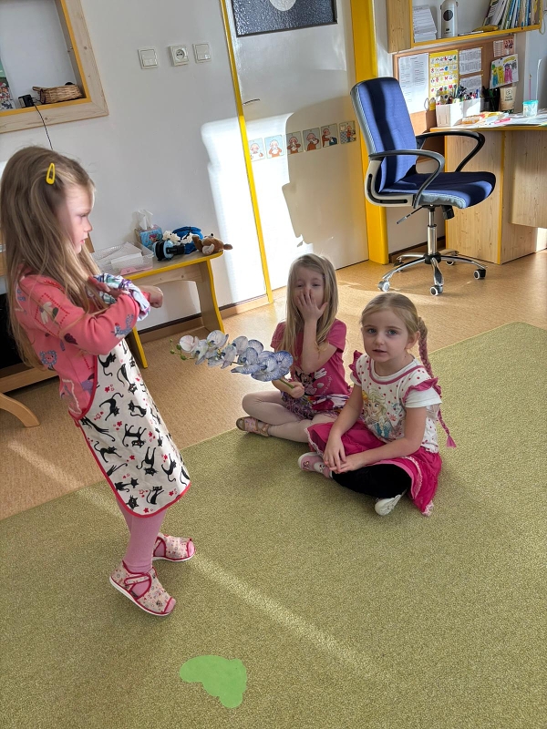 Kočičky a pohádka o dvanácti měsíčkách