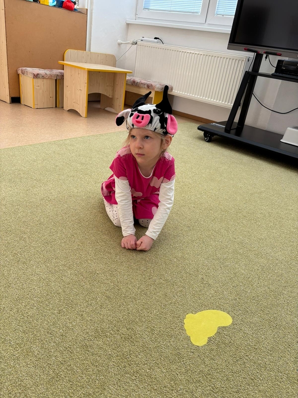 Kočičky a pohádka o dvanácti měsíčkách