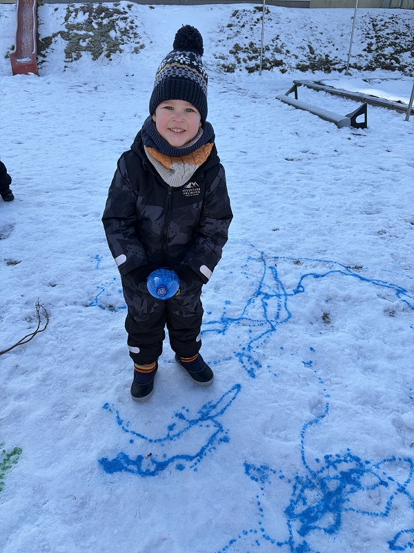 Kočičky malují do sněhu