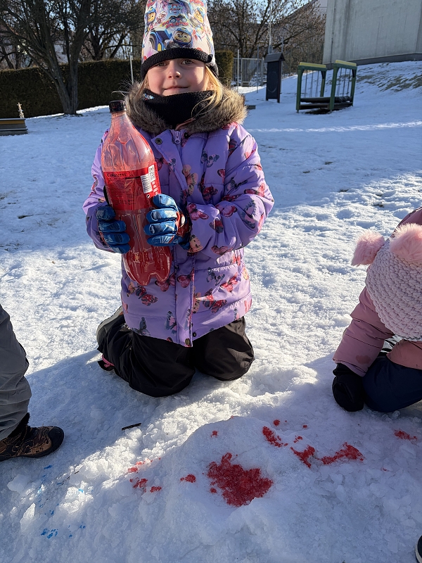 Kočičky malují do sněhu