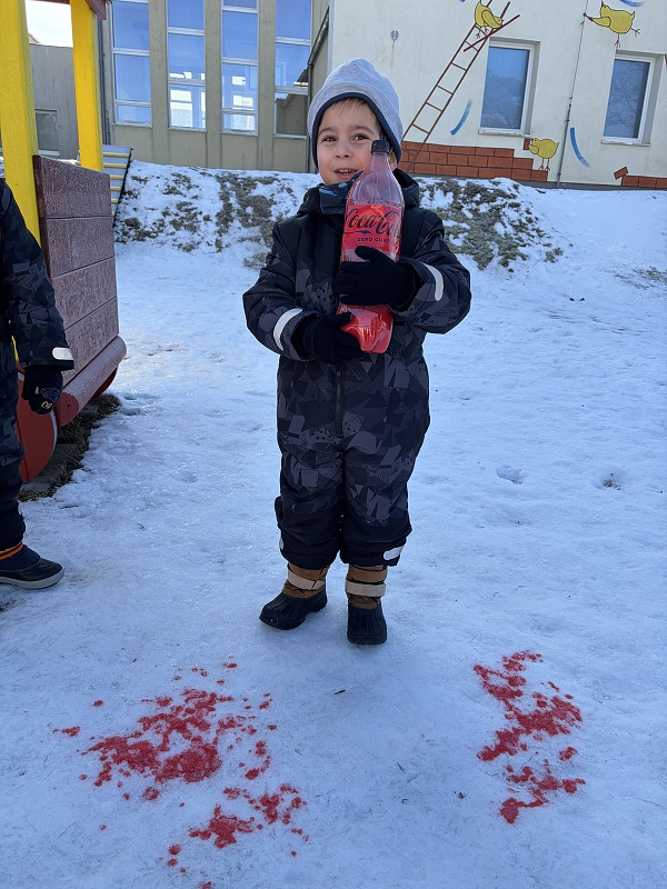 Kočičky malují do sněhu