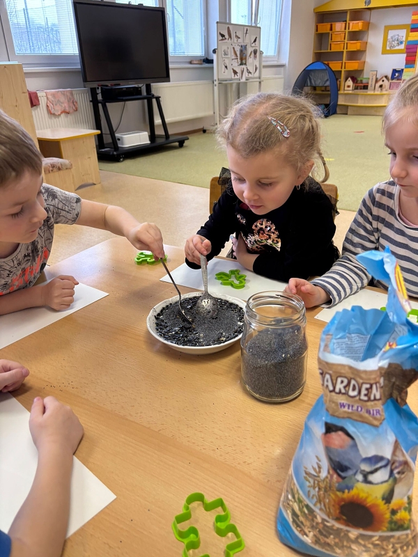 Kočičky a téma Ptáčci v zimě