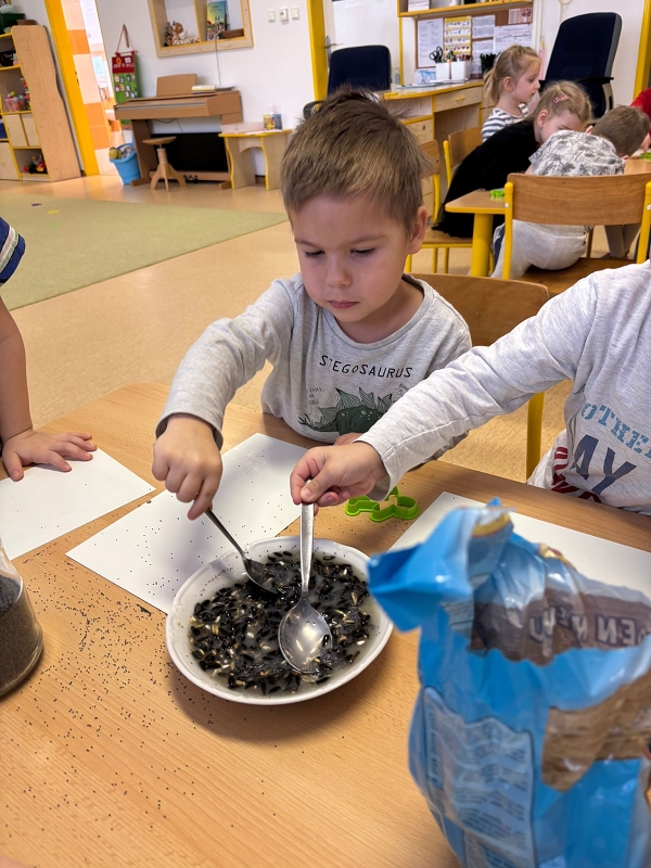 Kočičky a téma Ptáčci v zimě