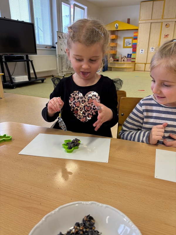 Kočičky a téma Ptáčci v zimě